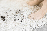 Have You Tried This Rug Cleaning Hack? 