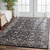 Evoke 252 Charcoal Rug