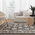 Arya 6096 Fume Classic Rug