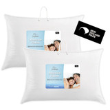 75/25 Feather and Down Standard Pillow by Moemoe