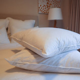 85/15 Feather and Down European Pillow by Moemoe