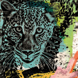 Jamie Cushion by Apelt