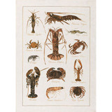 La Mer Crostacei 100% Linen Tea Towel by Tessitura Toscana Telerie