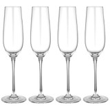 Quinn 4 Pack Champagne Glasses by Tempa