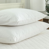 Pure Essentials Pillow Protector Pair by MM Linen