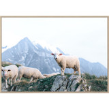 Grazing Canvas Print W/Natural Frame by Linens and More