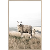 High Country Framed Canvas by Linens and More