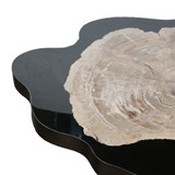 Petrified Wood Wave Coffee Table by Le Forge