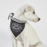 Got Treats? Pet Bandana by Santa Barbara Design Studio