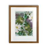 Titipounamu & Karamu - A3 - Print by Flox