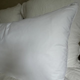 Commercial 100% Cotton Japara Zip Off Pillow Protector