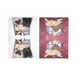 Kims Cats Fluffy Friends 2pk Kitchen Towel by Ashdene
