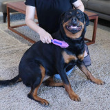 Pet Hair Brush by White Magic