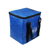 Insulated Cool Bag 25L Small