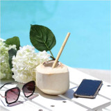 Eco Basics Reusable Bamboo Straws 4 Pack by White Magic