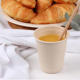 Eco Basics Biodegradable Sugarcane Cup - 10pcs by White Magic