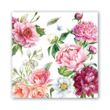 Blush Peony Paper Napkins - Cocktail Napkin