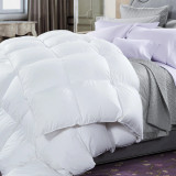 600 GSM Microluxe Down Alternative Duvet Inner by Renee Taylor