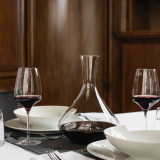 Experience Red Wine 450ml (6 Pk) by Stolzle