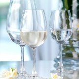 Weinland White Wine 350ml (6 Pk) by Stolzle