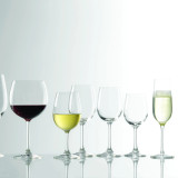 Weinland Champagne Flute 200ml (6 Pk) by Stolzle