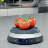 Switch Scale Grey by Joseph Joseph
