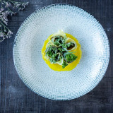 Maze Plate Coupe 21cm (12 Pk) by Bonna