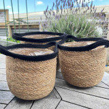 Seagrass Planters Set Of 3 by Linen & More
