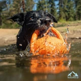 Squeaky Tug Ball Outdoor Dog Toy by Hound2O