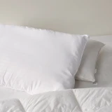 Everyday Standard Pillow By Linen House