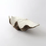 Natural Resin Clam Shell by Le Forge