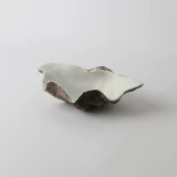 Natural Resin Clam Shell by Le Forge