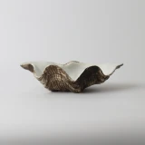 Natural Resin Clam Shell by Le Forge