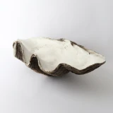Natural Resin Clam Shell by Le Forge