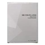 Silver/Gold Picture Frame Style 8 by Le Forge