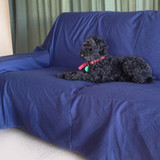 Large Waterproof Navy Flat Sheet by Brolly Sheets