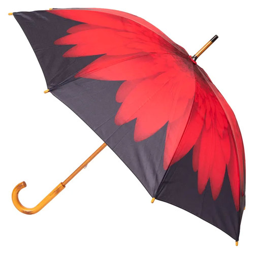 Daisy Stick Umbrella by Clifton