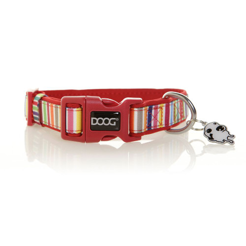 Neoprene Dog Collar