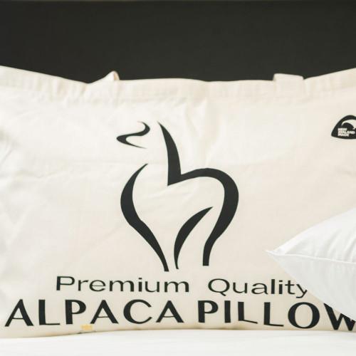 100% Alpaca Pillow by Kiwi Wool