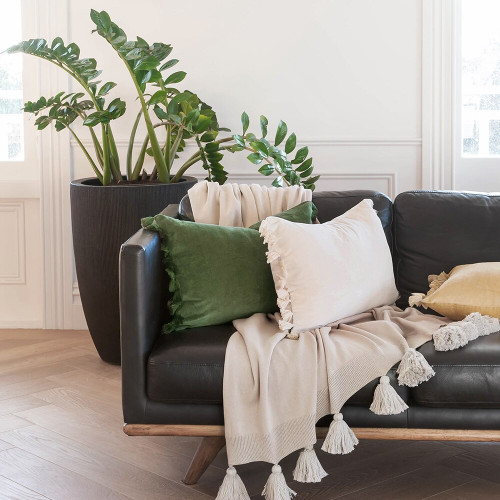 Este Cushions by Ollo