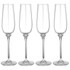 Quinn 4 Pack Champagne Glasses by Tempa