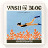 Tahitian Lime Body Exfoliator Block by Wash Bloc