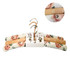 Peaches and Green Padded Coat Hangers Set of 3 by Linens and More