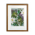 Titipounamu & Karamu - A3 - Print by Flox