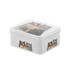 Kims Cats Biscuit Tin by Ashdene