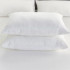 Cumfysafe Tencel Waterproof Standard PIllow Protector by Protect-A-Bed