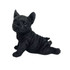 Playful Lying Decorative Frenchie by Linens and More