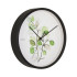 Botanical Clock Eucalyptus by Karlsson