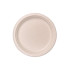 Eco Basics Biodegradable Sugarcane Plate 23cm - 10pcs by White Magic
