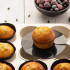 Muffin Liner Set of 12 by Nostik